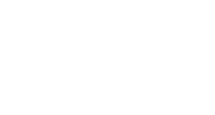 85507474002033-rectangle-16449082956542.png